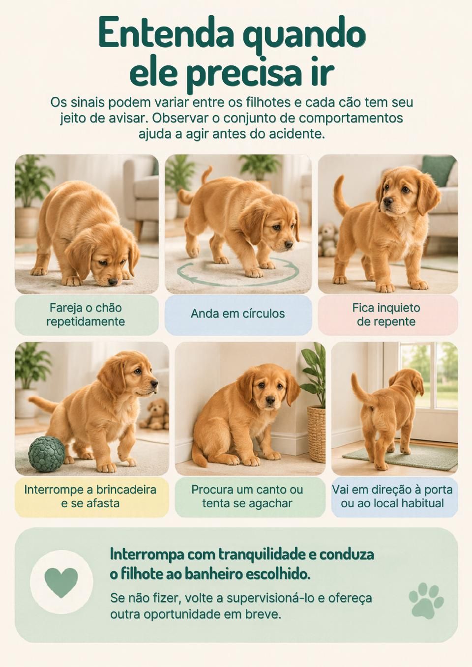 Página: Entenda quando ele precisa ir